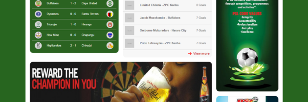 Premier Soccer League