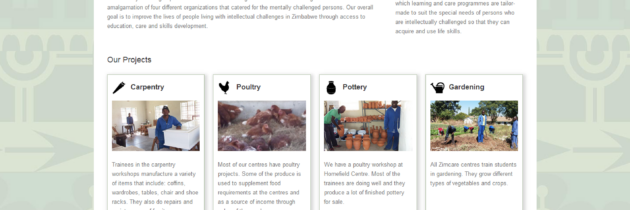 Zimcare Trust